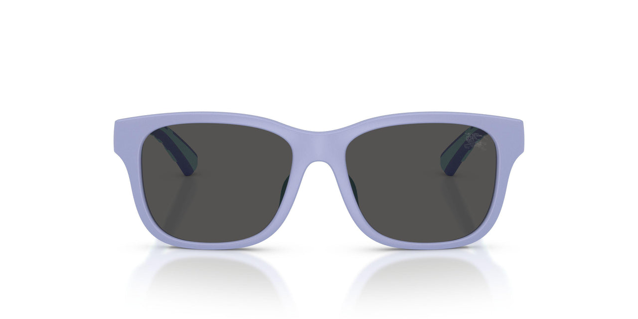 423687 - Violet - Dark Grey