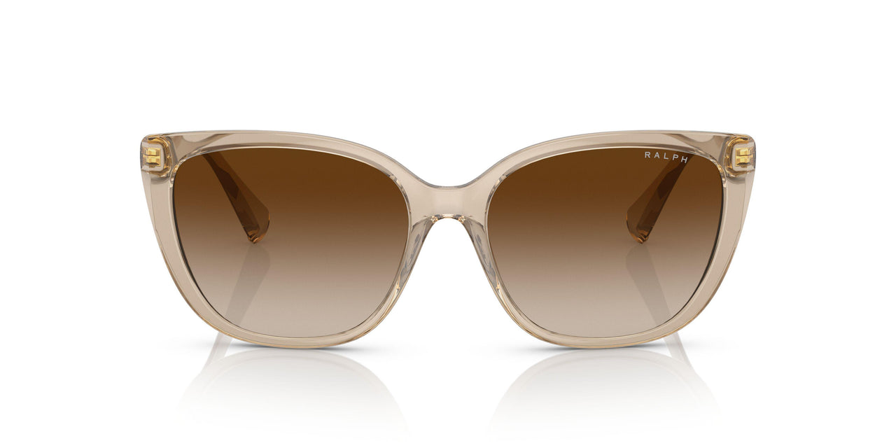 580213 - Brown - Gradient Brown