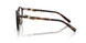 8015 - Tortoise