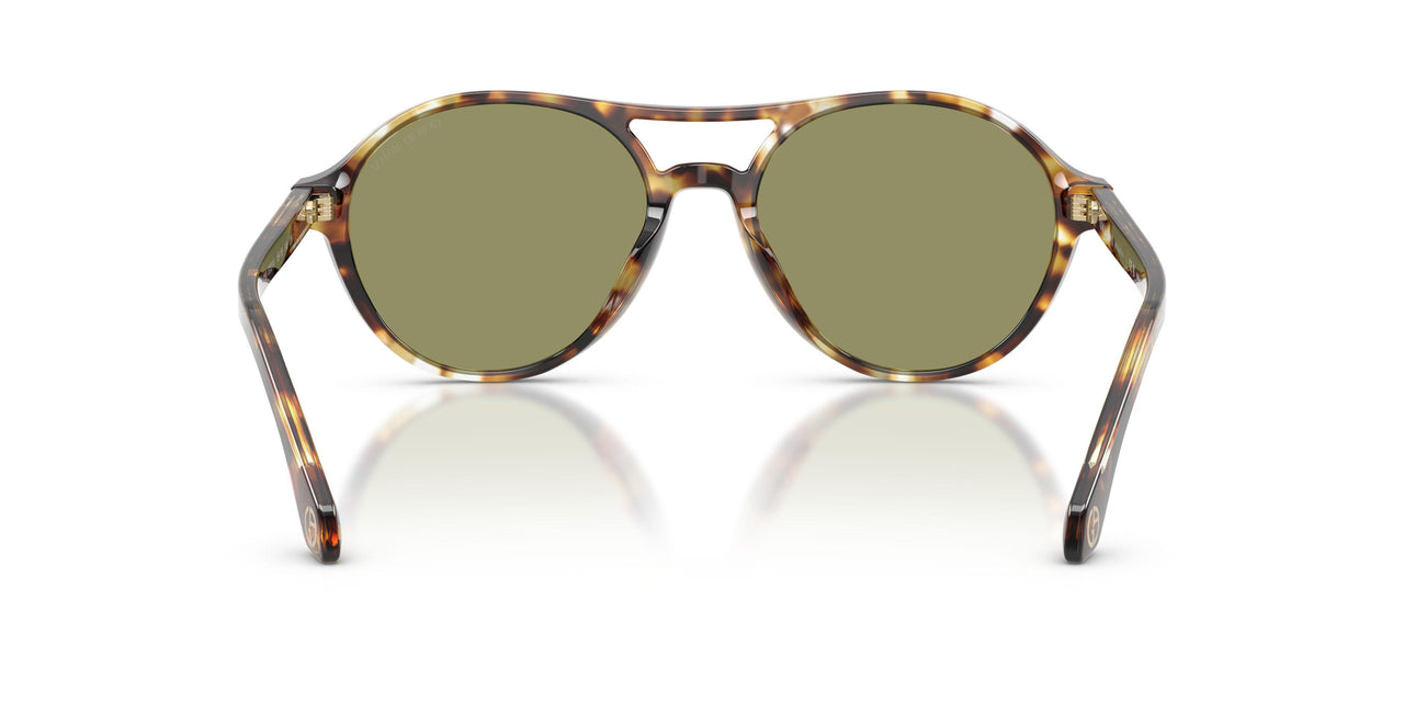 623214 - Tortoise - Green