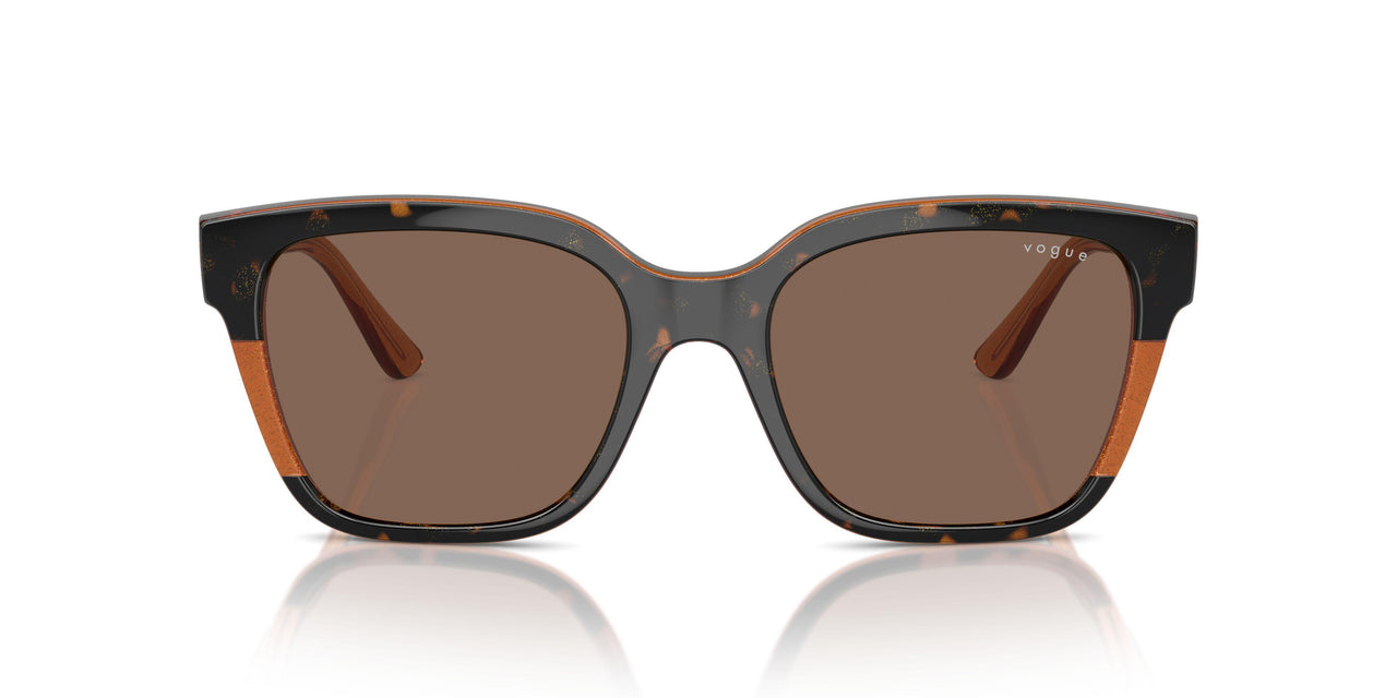 313473 - Tortoise - Dark Brown