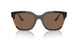 313473 - Tortoise - Dark Brown