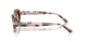 144951 - Pink - Clear Gradient Brown