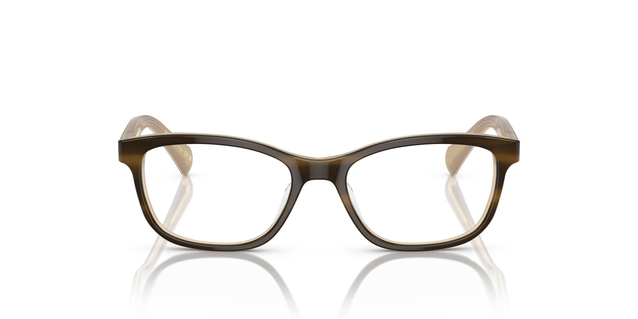 1281 - Brown