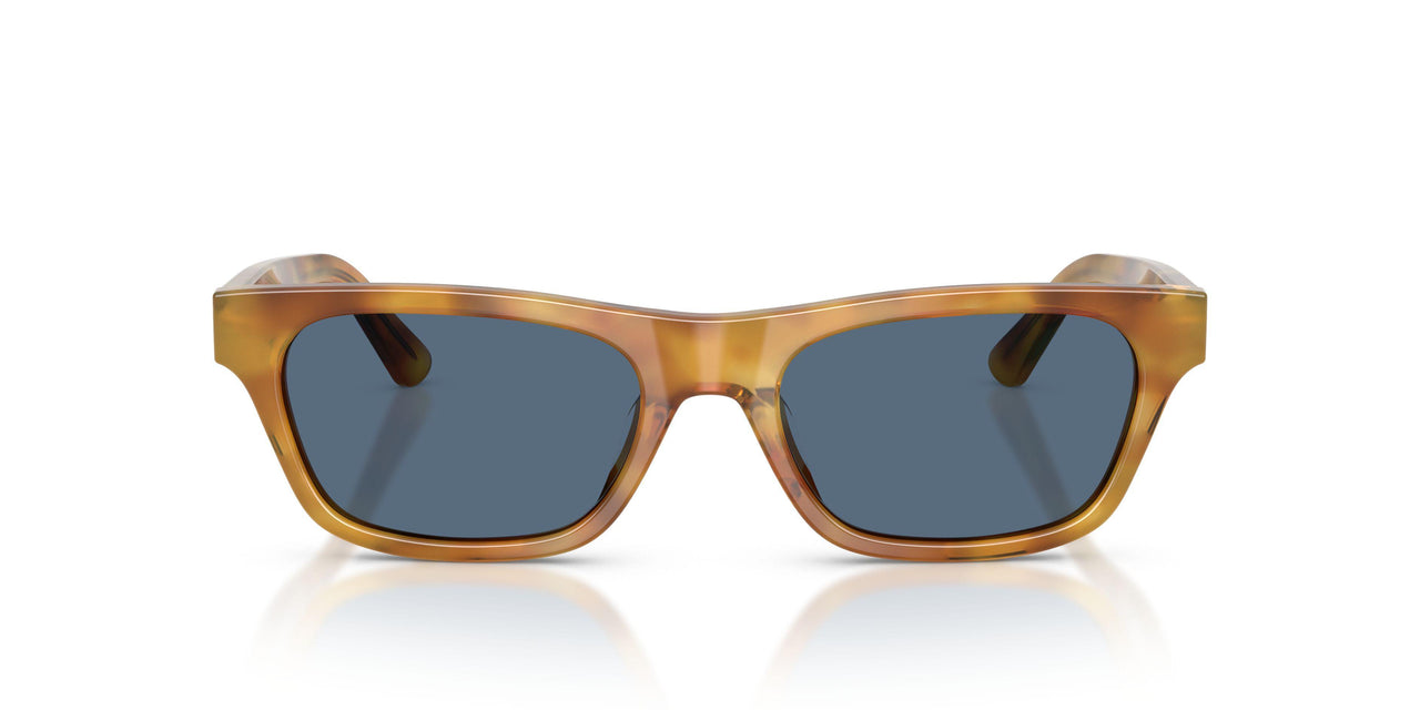 639380 - Tortoise - Dark Blue