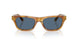 639380 - Tortoise - Dark Blue
