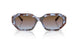 320148 - Blue - Azure Gradient Pink Gradient Brown