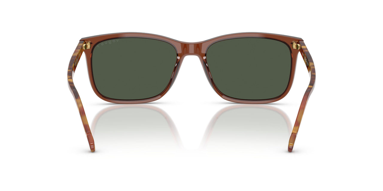 32029A - Brown - Dark Green Polar