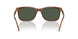 32029A - Brown - Dark Green Polar