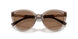 294073 - Brown - Dark Brown