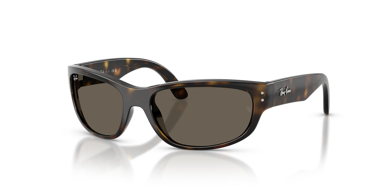 152/3 - Tortoise - Brown