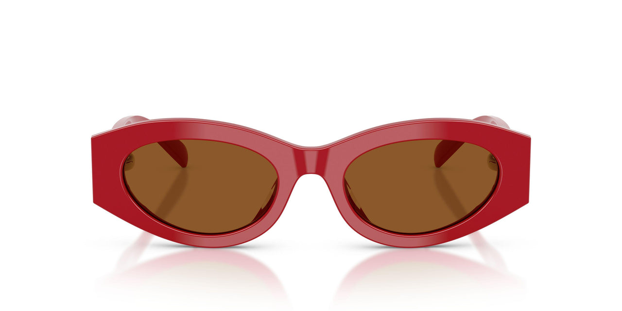 189373 - Red - Dark Brown