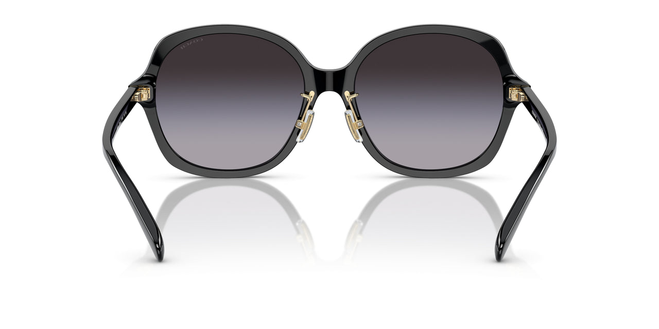 50028G - Black - Grey Gradient