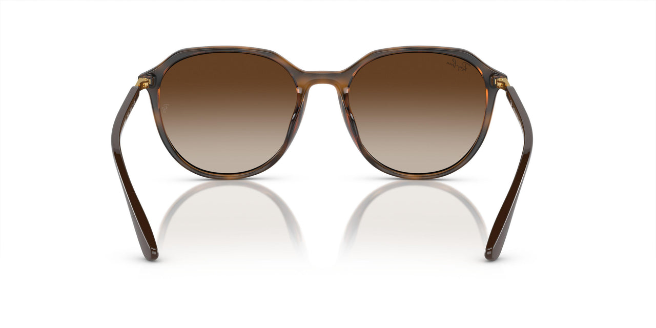 710/13 - Brown - Brown