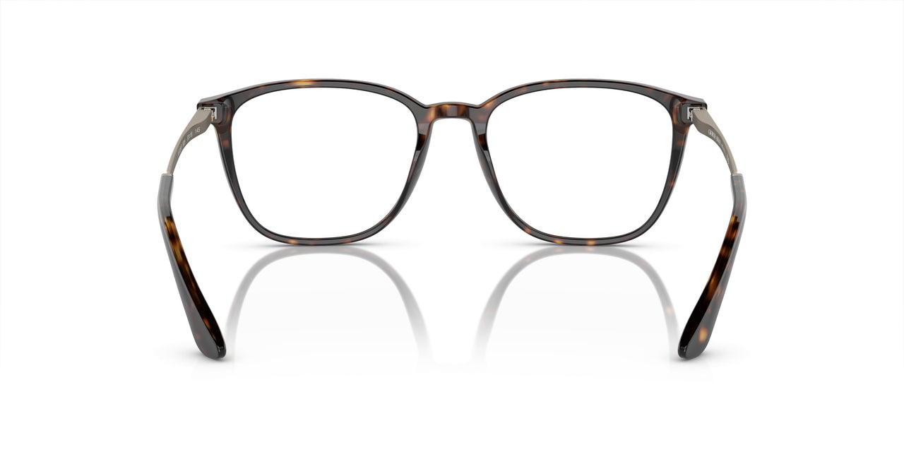 5026 - Tortoise