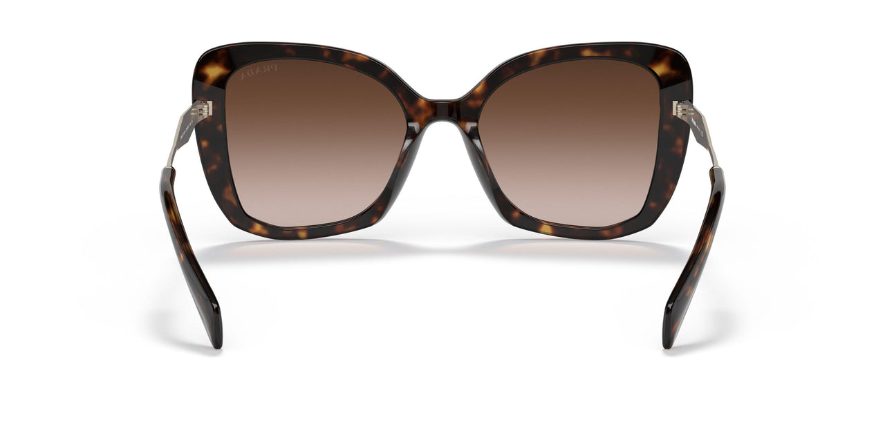 2AU6S1 - Havana - Brown Gradient