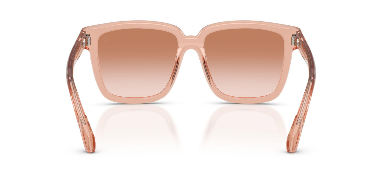 304513 - Pink - Gradient Light Brown