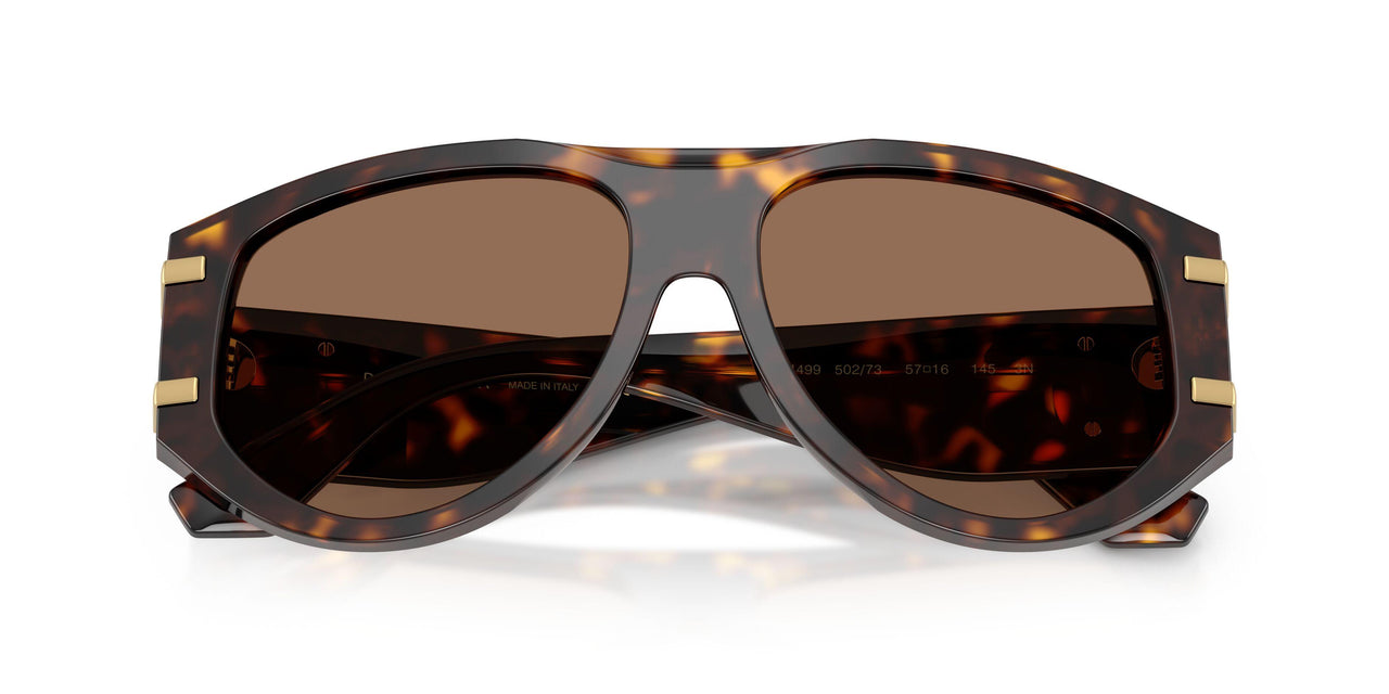 502/73 - Tortoise - Dark Brown
