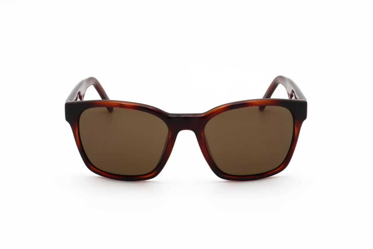 Salvatore Ferragamo SF959S Sunglasses