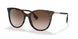 300213 - Havana - Brown Gradient