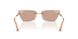 300613 - Gold - Brown Gradient