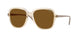 299083 - Brown - Dark Brown Polar