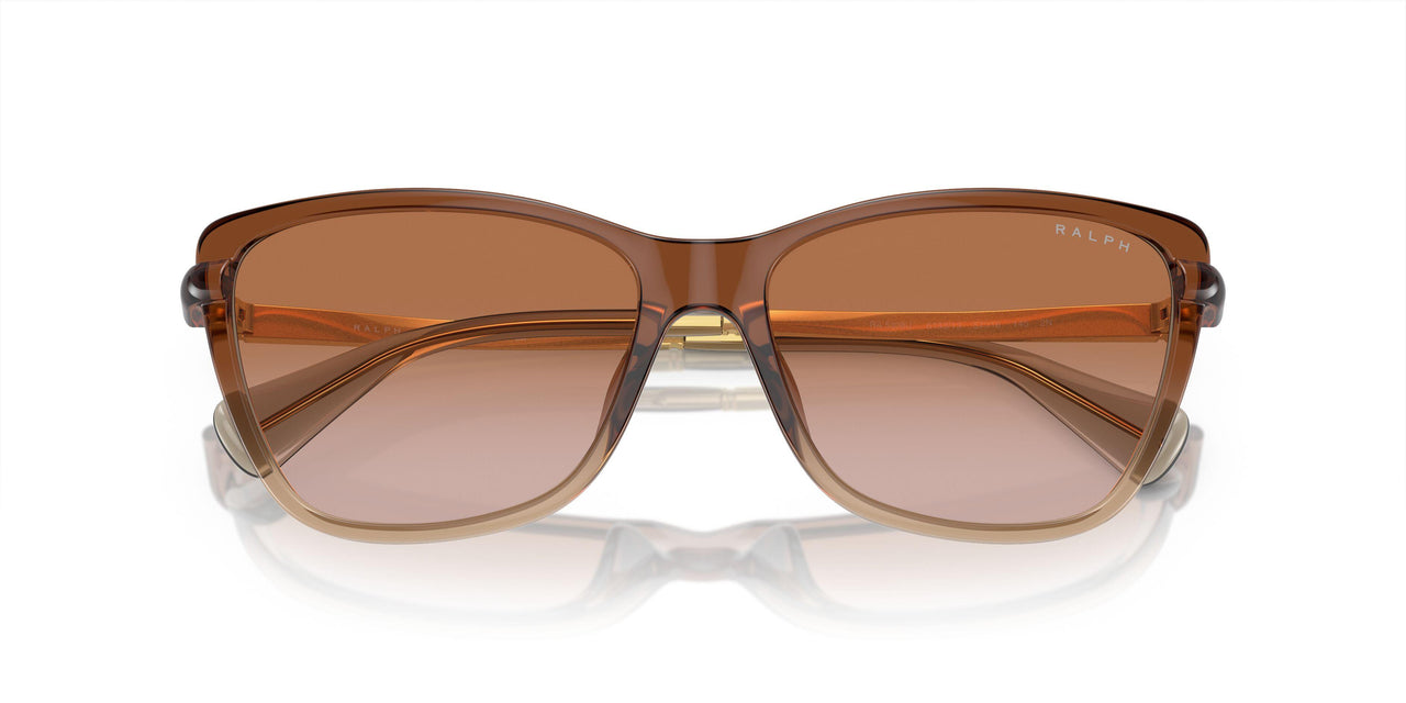613313 - Brown - Gradient Brown