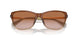613313 - Brown - Gradient Brown