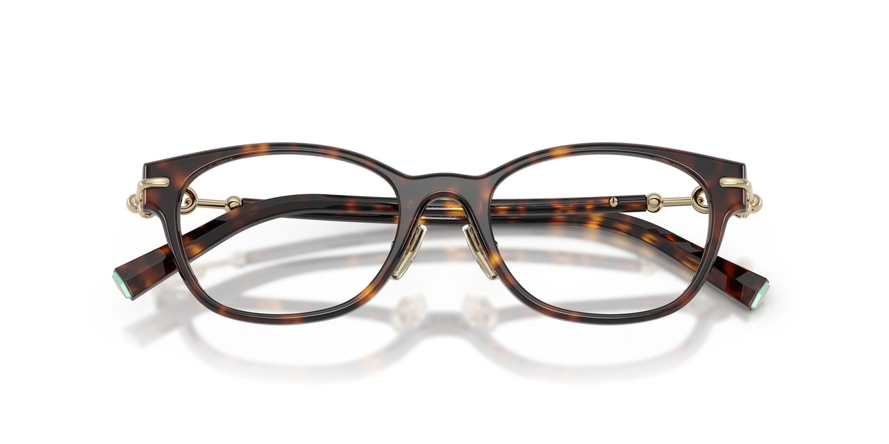 8015 - Tortoise