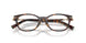 8015 - Tortoise