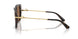 502/73 - Tortoise - Dark Brown