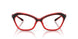 2009 - Red