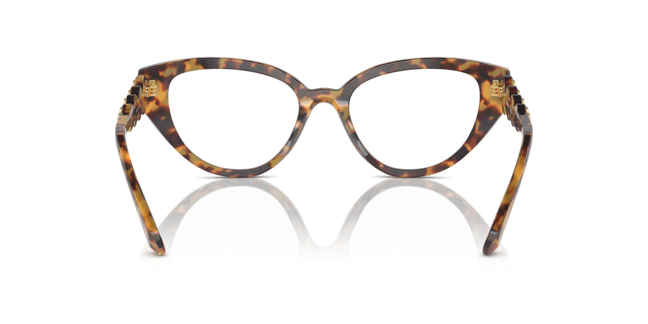 1040 - Tortoise