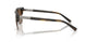 306373 - Tortoise - Brown