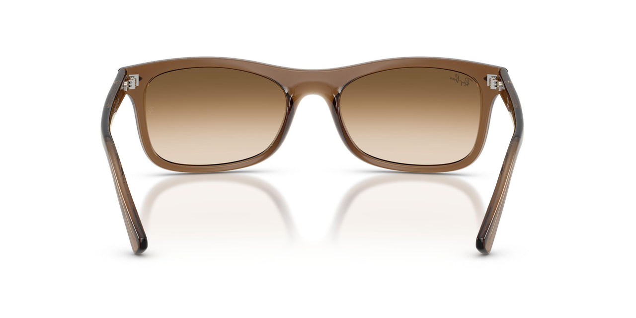 664051 - Brown - Clear Gradient Brown