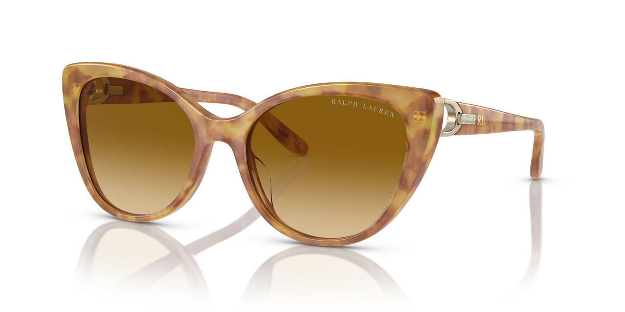60832L - Tortoise - Gradient Yellow