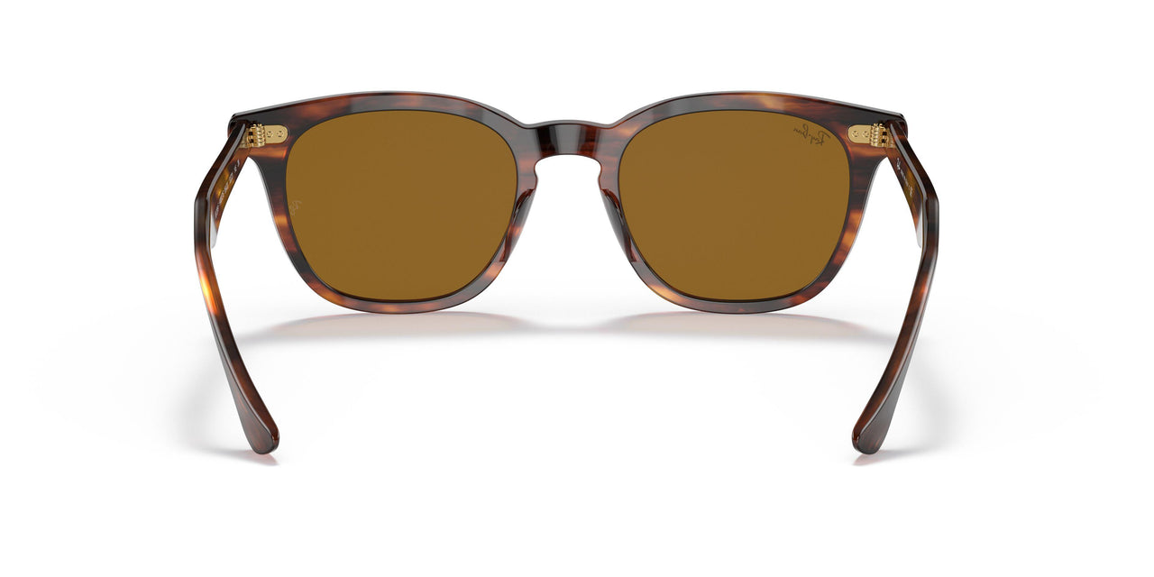 954/33 - Havana - Brown
