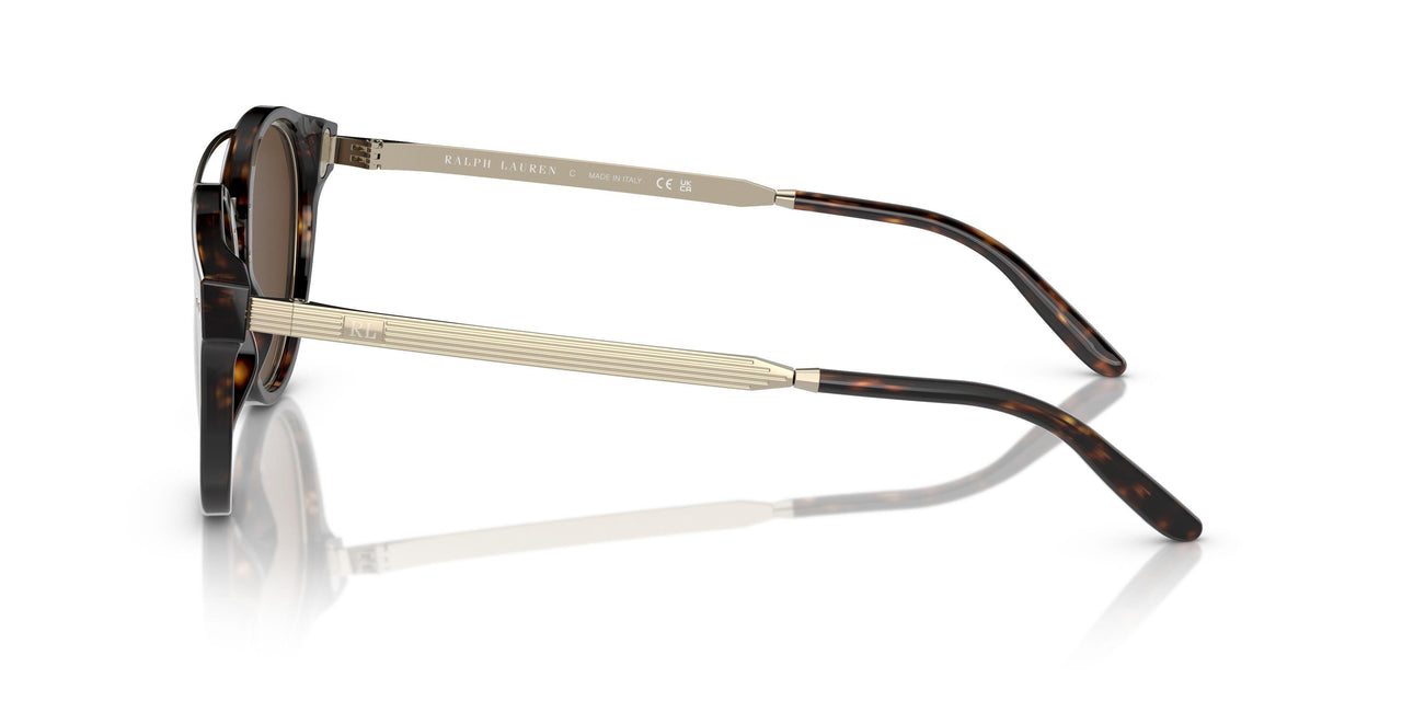 50025W - Tortoise - Brown