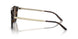 50025W - Tortoise - Brown