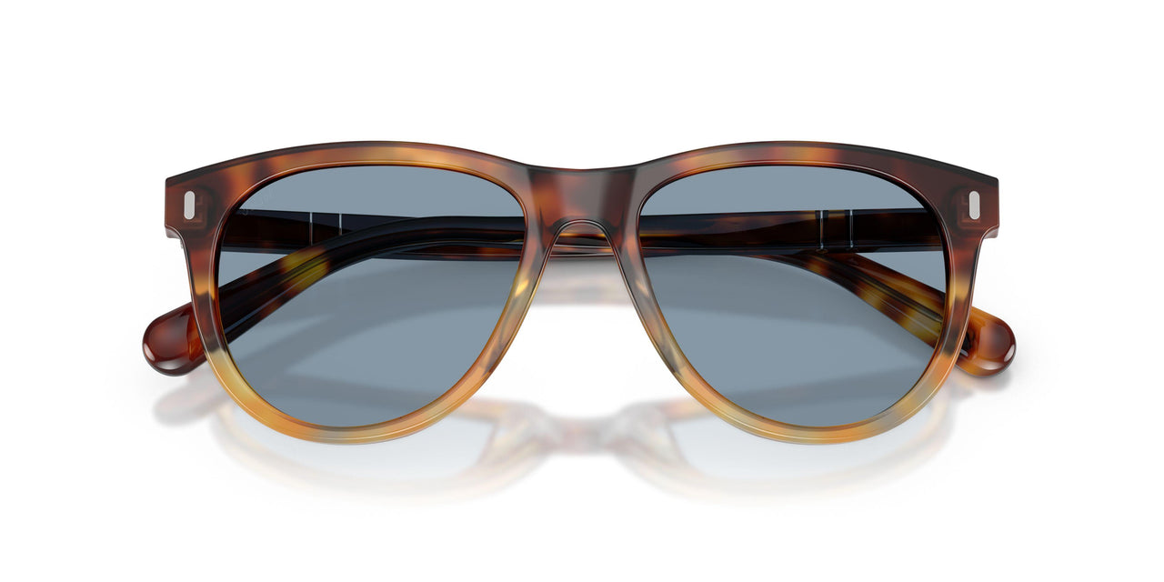 115856 - Tortoise - Light Blue