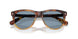 115856 - Tortoise - Light Blue