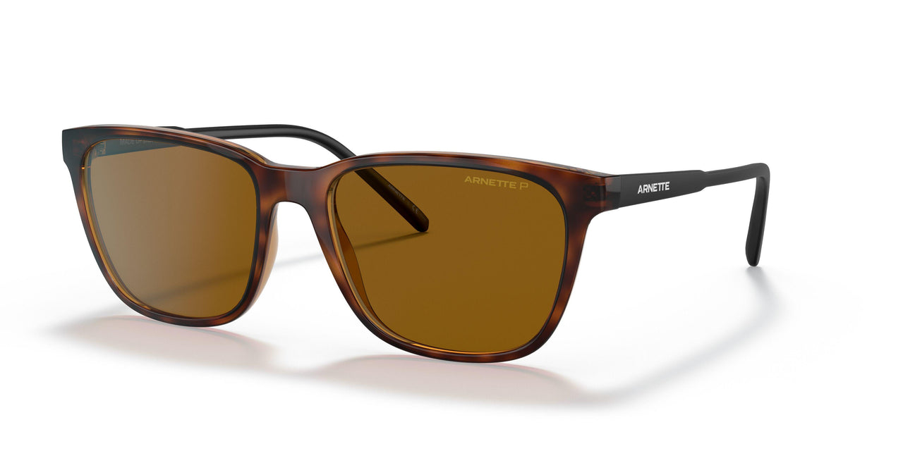 277083 - Havana - Polar Brown