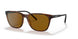 277083 - Havana - Polar Brown