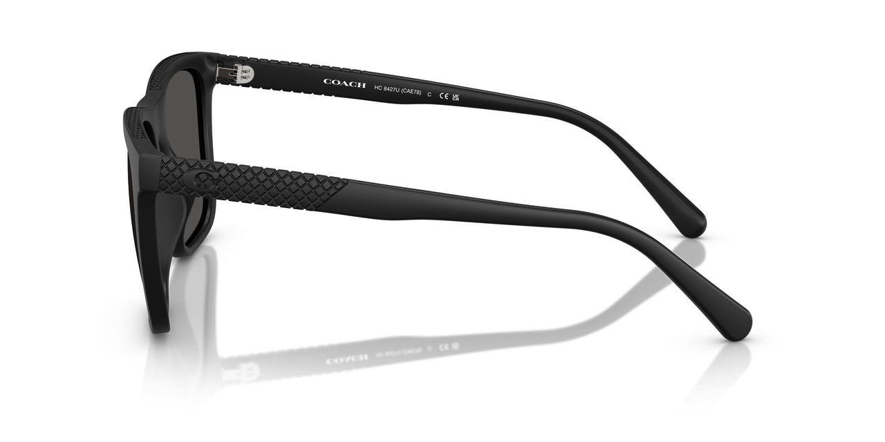 500287 - Black - Grey Solid
