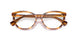 5988 - Tortoise