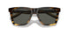 201504 - Tortoise - Gray
