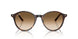 902/51 - Tortoise - Clear Gradient Brown