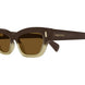 004 - Brown - Brown