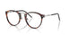 Persol 3416V Eyeglasses