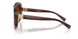 322274 - Red - Brown Gradient